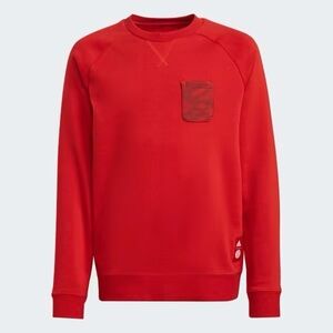 Adidas FC Bayern Crew Sweatshirt Boys Size Medium